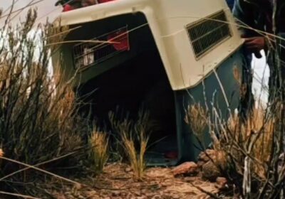 #GrupoFides | #ANF La Alcaldía de Oruro, junto a POFOMA y la GADOR, liberó…