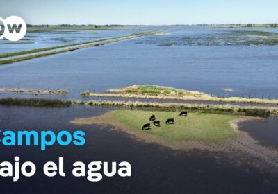 Inundaciones amenazan campaña agrícola en Argentina Cientos de miles de hectáreas están en riesgo…