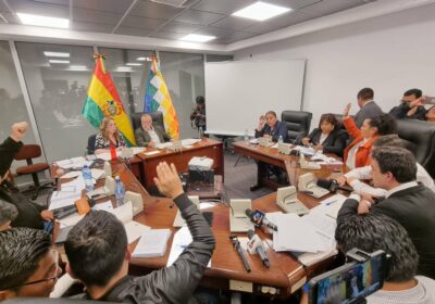 #ÚLTIMO | La Comisión de Constitución de la Cámara de Diputados aprobó en grande…