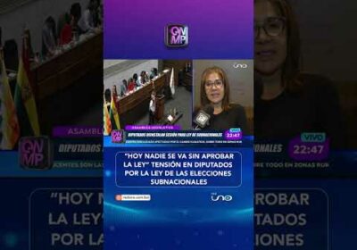 La diputada Rivero (PDC) aseguró que hoy nadie se irá sin aprobar la ley de elecciones subnacionales