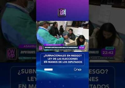 El vocal del TSE, Gustavo Ávila, señaló que la ley debe aprobarse sí o sí para garantizar los plazos