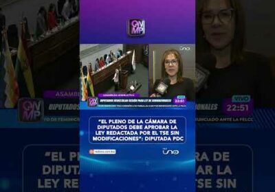 Diputada Rivera exige aprobar sin cambios la ley enviada por el TSE