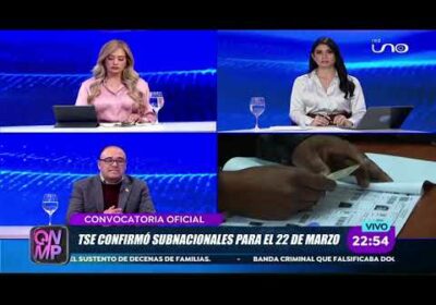 PROMULGAN LEY DE ELECCIONES SUBNACIONALES