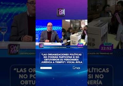 TSE aclara quiénes podrán participar en las subnacionales