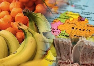 #GrupoFides | #ANF #Mundo 𝐓𝐫𝐮𝐦𝐩 𝐚𝐦𝐩𝐥í𝐚 𝐥𝐚 𝐫𝐞𝐝𝐮𝐜𝐜𝐢ó𝐧 𝐝𝐞 𝐚𝐫𝐚𝐧𝐜𝐞𝐥𝐞𝐬 𝐚 𝐚𝐥𝐢𝐦𝐞𝐧𝐭𝐨𝐬 𝐛𝐫𝐚𝐬𝐢𝐥𝐞ñ𝐨𝐬 𝐚𝐧𝐭𝐞…