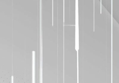 Gobierno es reducir el protagonismo del Vicepresidente