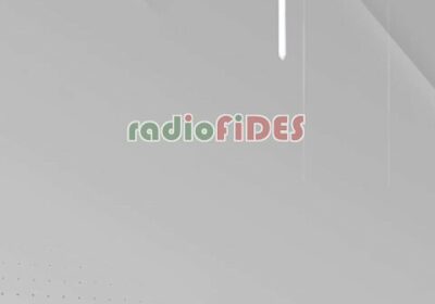 #GrupoFides | #ANF La vocera presidencial, Carla Faval, aseguró que la creación del viceministerio…