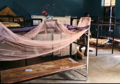 #GrupoFides | #ANF Logran escapar 50 de los más de 300 estudiantes católicos secuestrados…