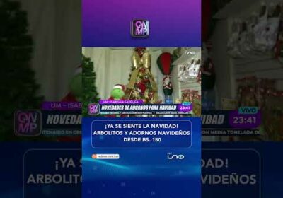 Navidad llega con novedades en adornos