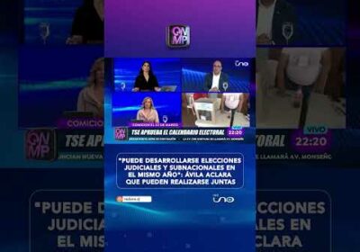 Ávila aclara que elecciones judiciales y subnacionales pueden realizarse juntas