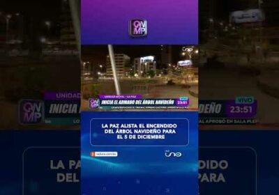 El 5 de diciembre se encenderá el árbol navideño en La Paz