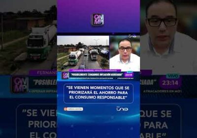 Subirana, analista económico, advirtió que “posiblemente tengamos una inflación asociada”