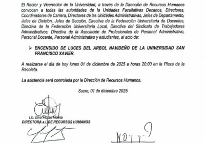 ESPÍRITU NAVIDEÑO OBLIGADO! ¿En serio obligatorio ir al encendido de las luces del árbol…