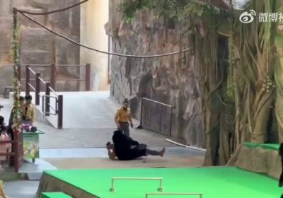 🇨🇳 | Un cuidador del zoológico fue atacado brevemente por un oso negro durante…