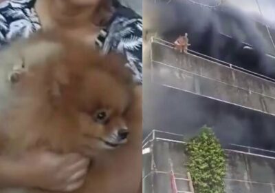 | Una mujer prioriza salvar a su perro y por poco no logra escapar…