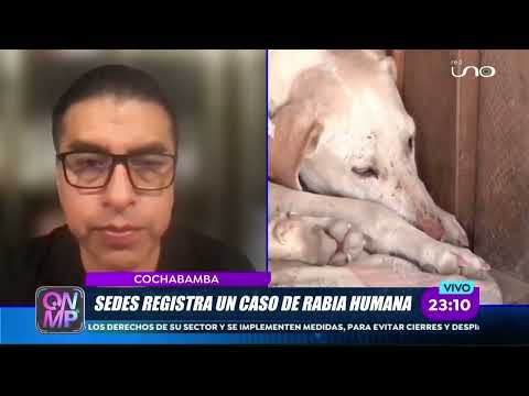 Autoridades refuerzan vigilancia epidemiológica ante casos de rabia en ...