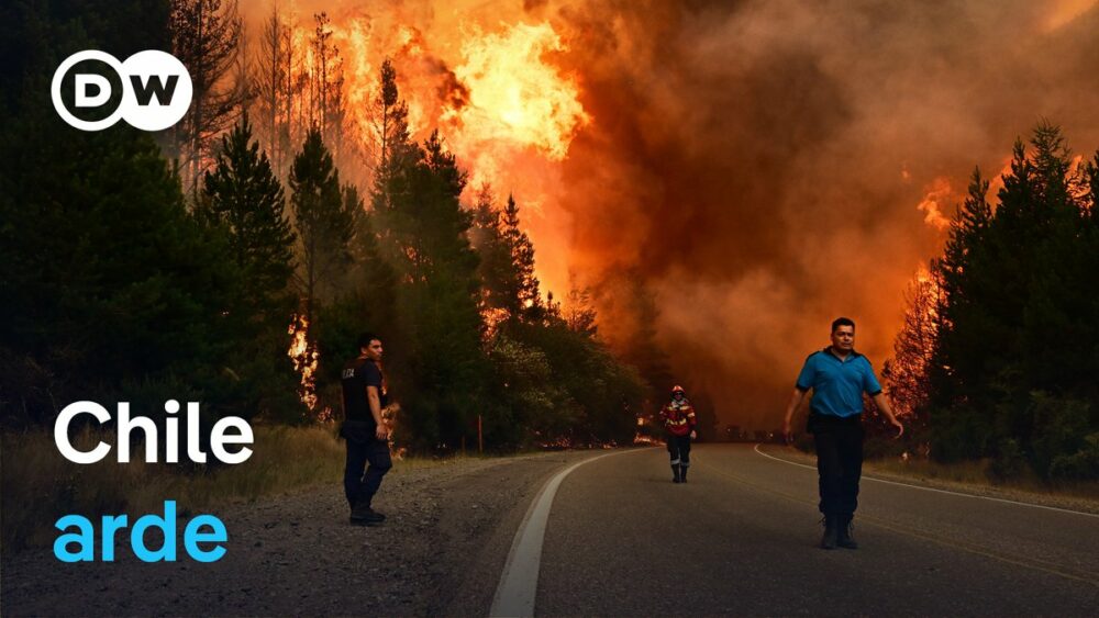 Incendios forestales en Chile dejan al menos 16 muertos y decenas de ...